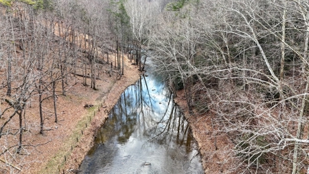 144.8± Acres with Creek, Timber & Mountain Views in VA - image 14