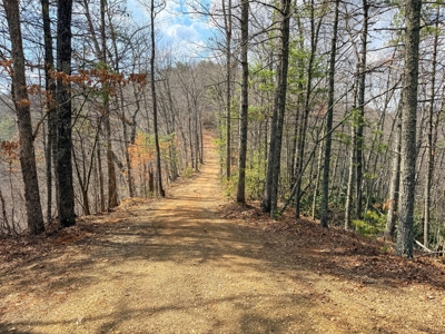 144.8± Acres with Creek, Timber & Mountain Views in VA - image 23
