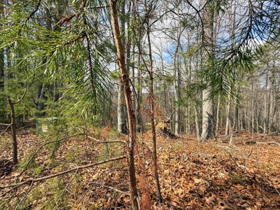 144.8± Acres with Creek, Timber & Mountain Views in VA - image 21