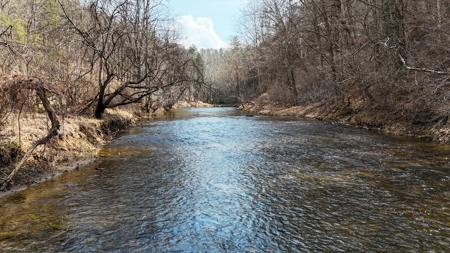 144.8± Acres with Creek, Timber & Mountain Views in VA - image 9