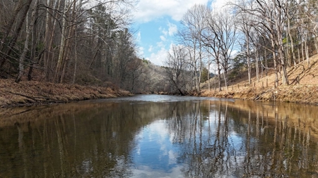 144.8± Acres with Creek, Timber & Mountain Views in VA - image 12