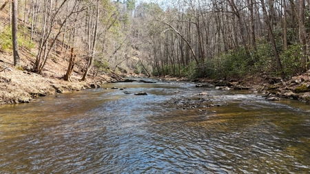 144.8± Acres with Creek, Timber & Mountain Views in VA - image 10