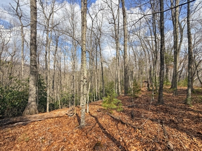 144.8± Acres with Creek, Timber & Mountain Views in VA - image 17