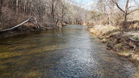 144.8± Acres with Creek, Timber & Mountain Views in VA - image 8
