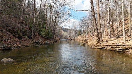 144.8± Acres with Creek, Timber & Mountain Views in VA - image 11