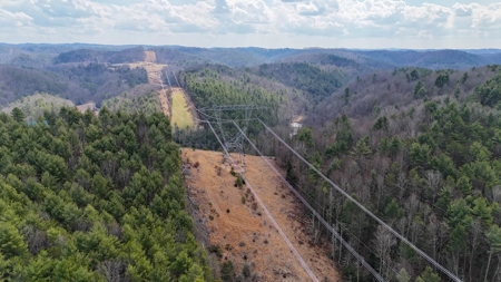 144.8± Acres with Creek, Timber & Mountain Views in VA - image 6