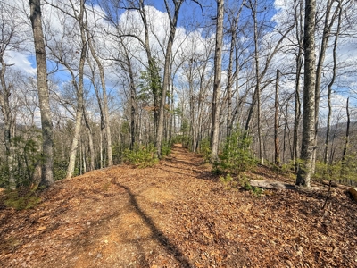 144.8± Acres with Creek, Timber & Mountain Views in VA - image 18