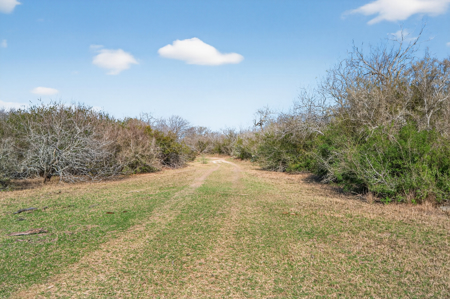 159± Acre Aransas River Ranch with Copano Bay Access & Hunting - image 22