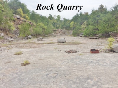 Fossil Bearing Rock Quarry in Arkansas Ozark Mountains - image 1