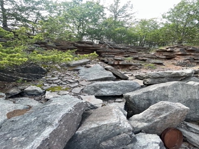 Fossil Bearing Rock Quarry in Arkansas Ozark Mountains - image 32