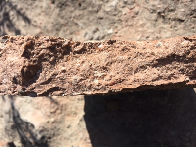 Fossil Bearing Rock Quarry in Arkansas Ozark Mountains - image 14