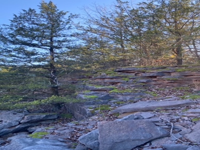 Fossil Bearing Rock Quarry in Arkansas Ozark Mountains - image 21