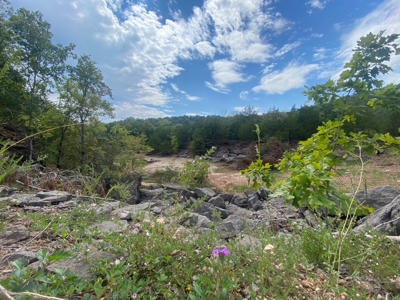Fossil Bearing Rock Quarry in Arkansas Ozark Mountains - image 33