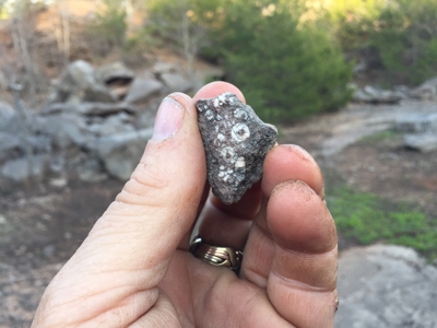 Fossil Bearing Rock Quarry in Arkansas Ozark Mountains - image 12