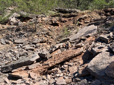 Fossil Bearing Rock Quarry in Arkansas Ozark Mountains - image 16