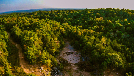 Fossil Bearing Rock Quarry in Arkansas Ozark Mountains - image 17