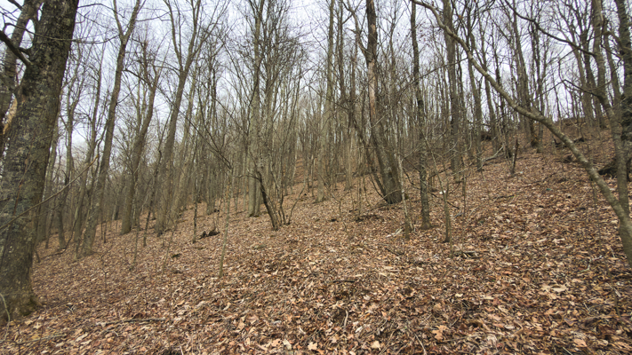 Large Land Tract for Sale in Zionville, NC