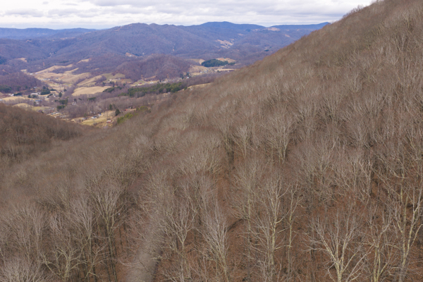 Large Land Tract for Sale in Zionville, NC
