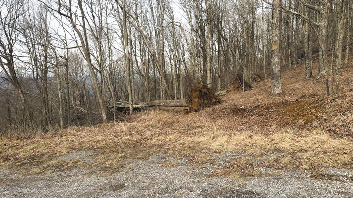 Large Land Tract for Sale in Zionville, NC