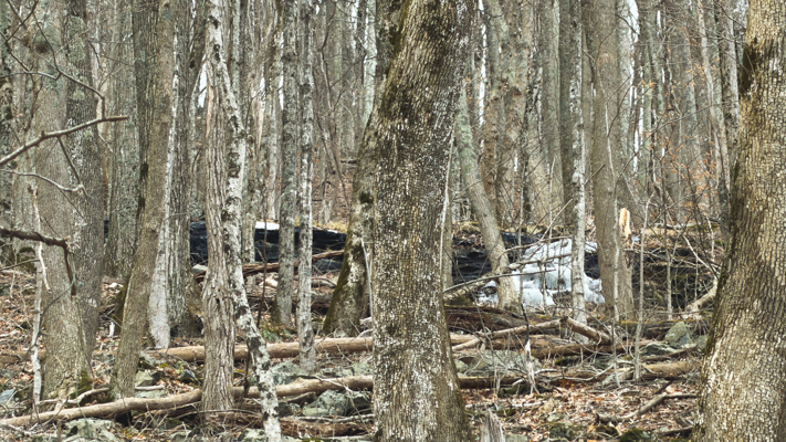 Large Land Tract for Sale in Zionville, NC