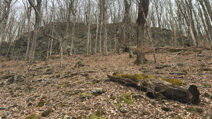 Large Land Tract for Sale in Zionville, NC