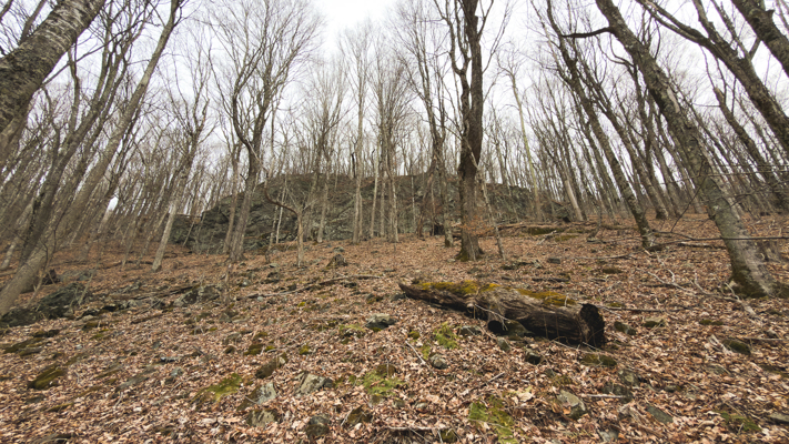 Large Land Tract for Sale in Zionville, NC