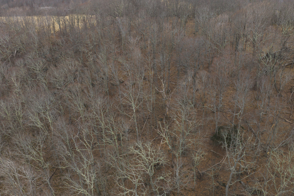 Large Land Tract for Sale in Zionville, NC