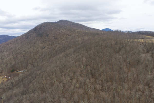 Large Land Tract for Sale in Zionville, NC