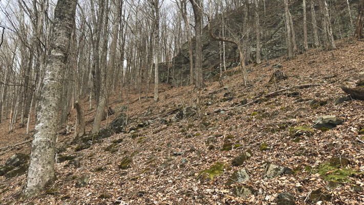 Large Land Tract for Sale in Zionville, NC