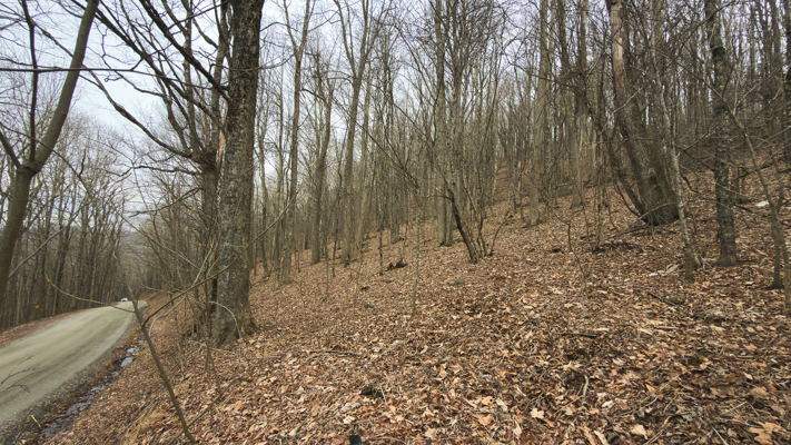 Large Land Tract for Sale in Zionville, NC