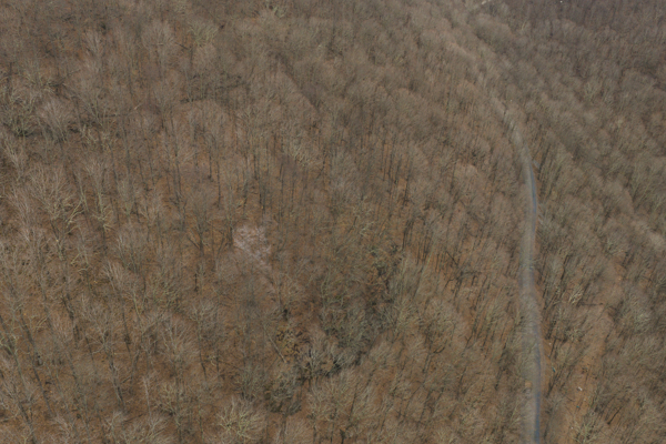 Large Land Tract for Sale in Zionville, NC