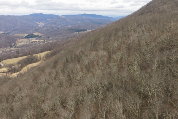 Large Land Tract for Sale in Zionville, NC