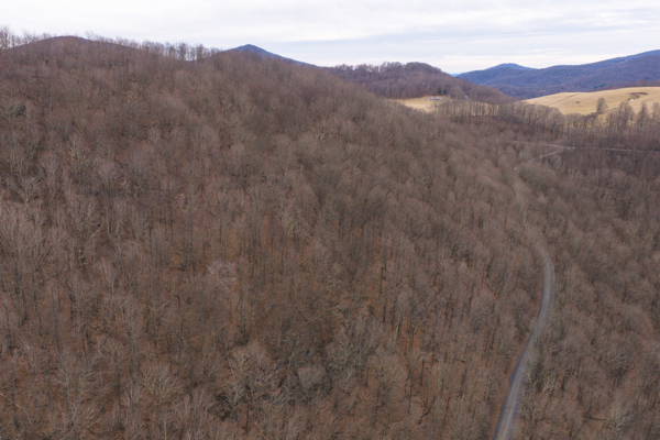 Large Land Tract for Sale in Zionville, NC