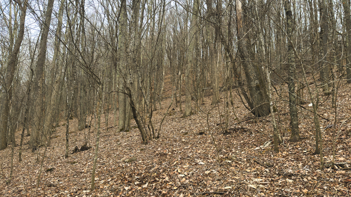 Large Land Tract for Sale in Zionville, NC