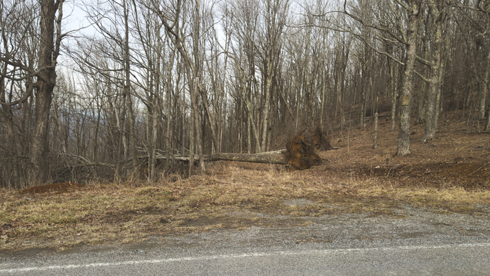 Large Land Tract for Sale in Zionville, NC