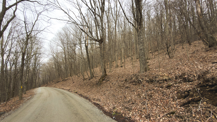 Large Land Tract for Sale in Zionville, NC
