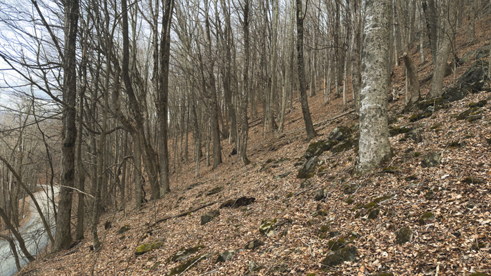 Large Land Tract for Sale in Zionville, NC