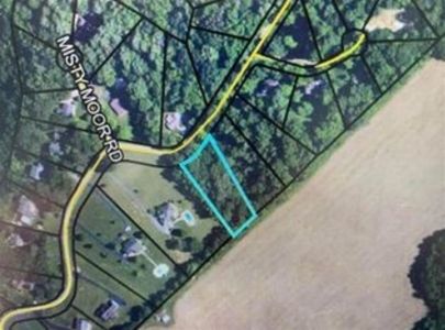 Residential lot for sale in the Barren River Lake area of Ky. - image 4