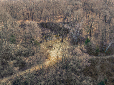 95± Acres Driftless Hunting & Recreational Land Richland County, - image 35