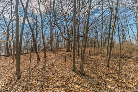 95± Acres Driftless Hunting & Recreational Land Richland County, - image 20