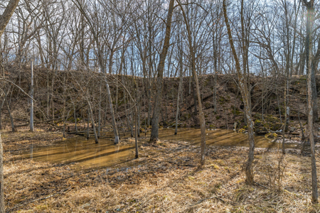 95± Acres Driftless Hunting & Recreational Land Richland County, - image 7