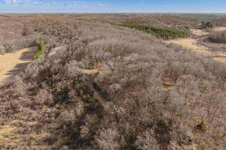 95± Acres Driftless Hunting & Recreational Land Richland County, - image 31