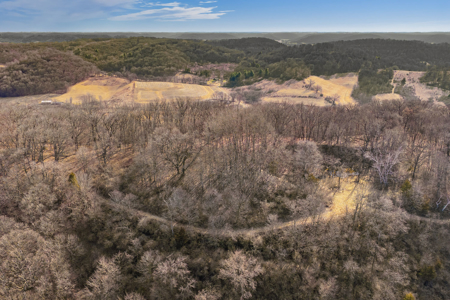 95± Acres Driftless Hunting & Recreational Land Richland County, - image 34
