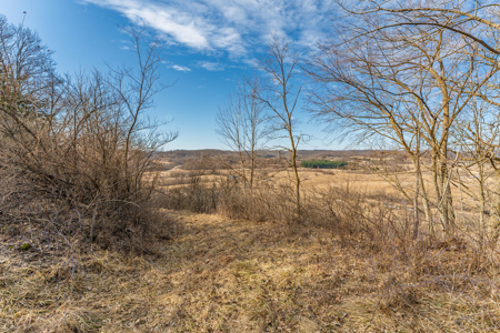 95± Acres Driftless Hunting & Recreational Land Richland County, - image 13