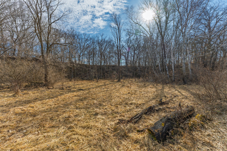 95± Acres Driftless Hunting & Recreational Land Richland County, - image 6