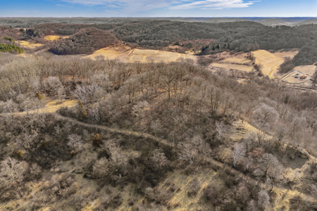 95± Acres Driftless Hunting & Recreational Land Richland County, - image 33