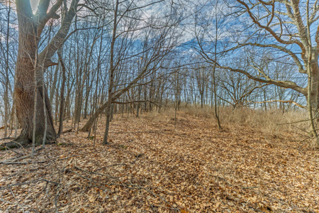 95± Acres Driftless Hunting & Recreational Land Richland County, - image 17