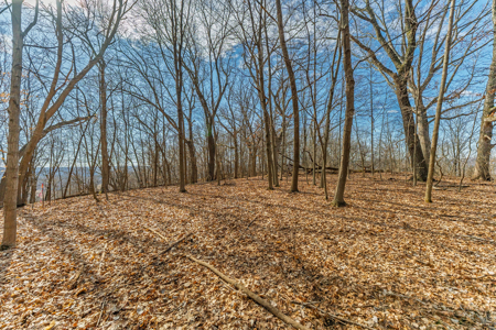 95± Acres Driftless Hunting & Recreational Land Richland County, - image 21