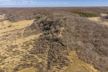 95± Acres Driftless Hunting & Recreational Land Richland County, - image 30
