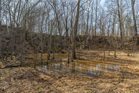 95± Acres Driftless Hunting & Recreational Land Richland County, - image 11